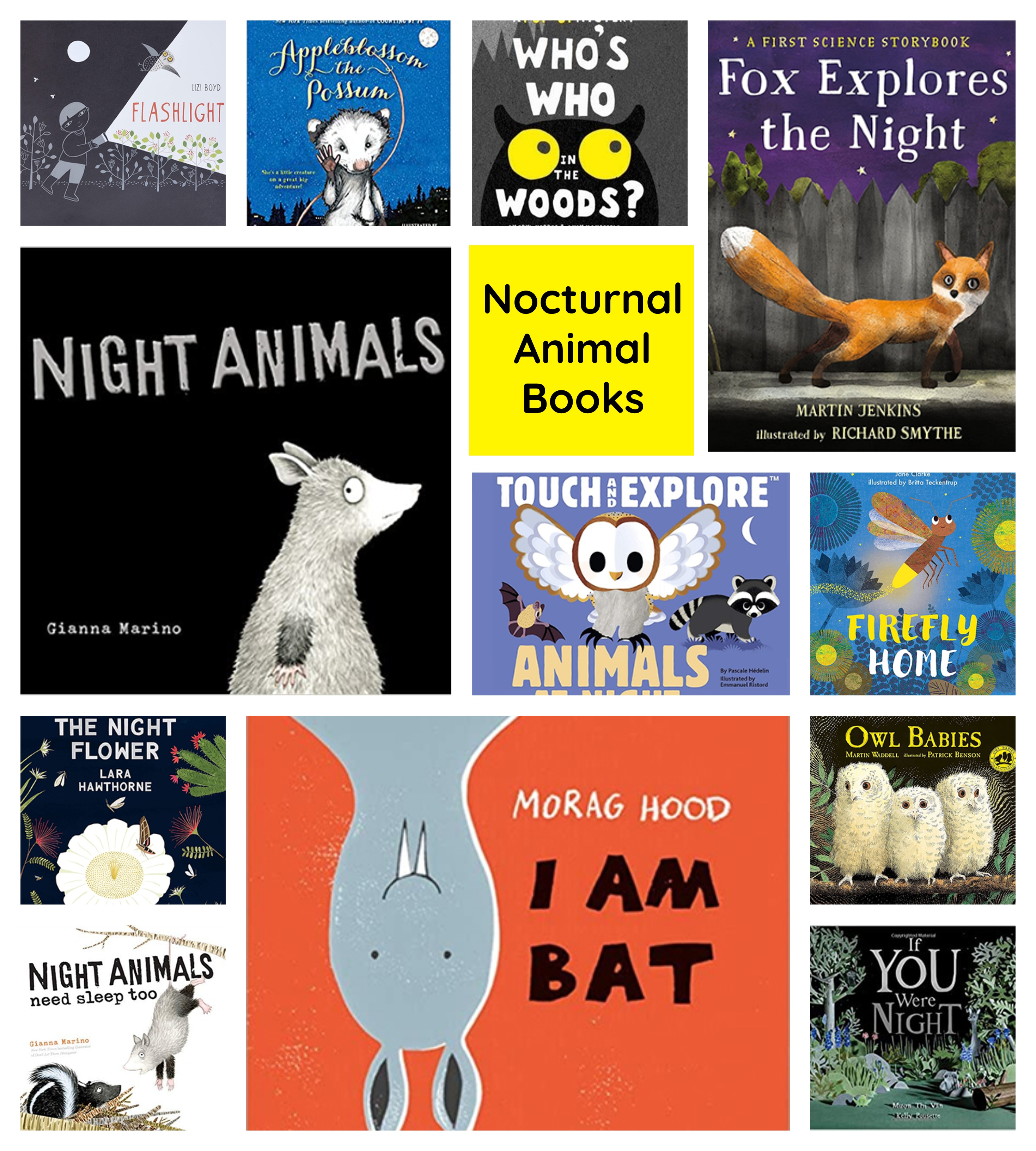 Nocturnal Animal Books