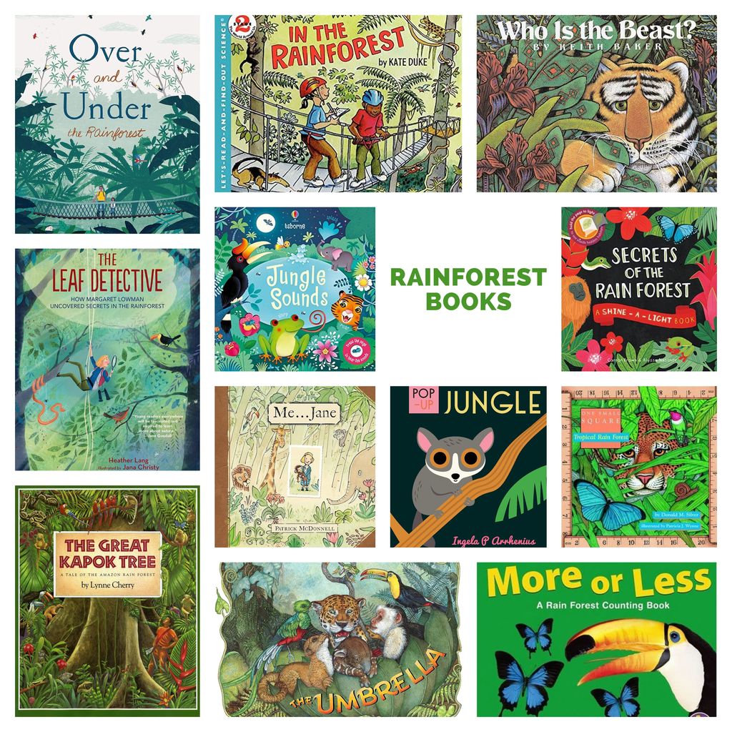 Books About the Rainforest