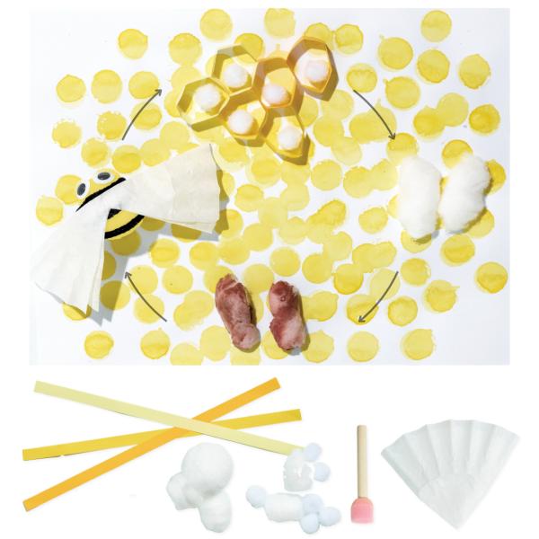 From Egg to Honeybee Science Project