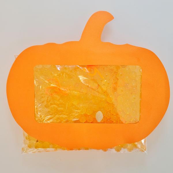 Pumpkin Sensory Science Project