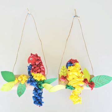 Perched Parrot Craft