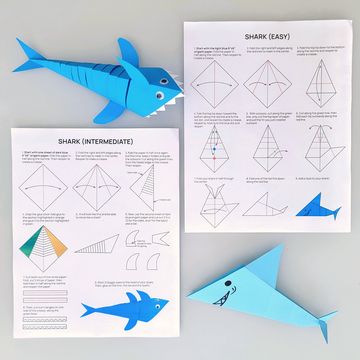 Shark Origami