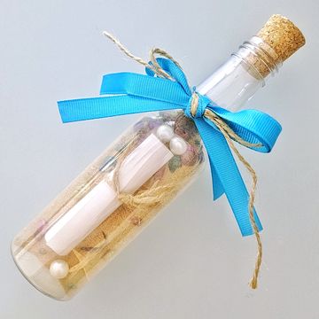 Island-in-a-Bottle Craft