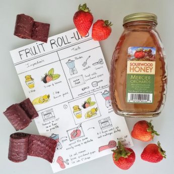 Honey & berries fruit roll-ups visual recipe