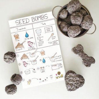 Seed Bombs