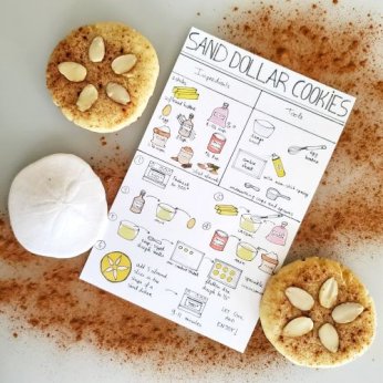 Sand dollar cookies visual recipe